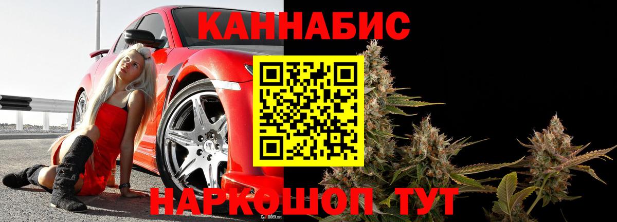 Шишки марихуана ГИДРОПОН  Конопля план  Находка  Вход с VPN 